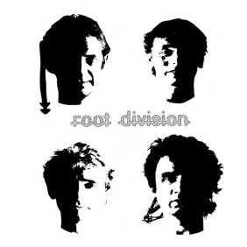 Root Division’s avatar