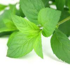 Faisal