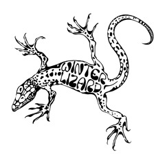Winterlizard