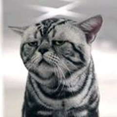 Poowin Bunyavejchewin