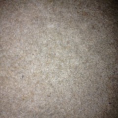 Kerrie Butler Coniam