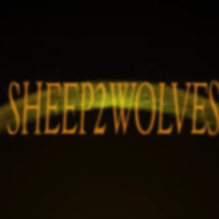 SHEEP2WOLVES