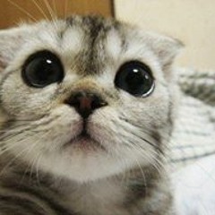 lolsmile1