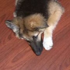 Erik Tallada Sanagustin