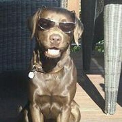 Nicole Uebbing-Sahlmann