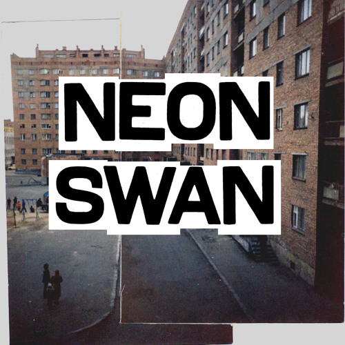 Neon Swan’s avatar