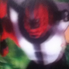 qpecexsxwgrgtfvtf