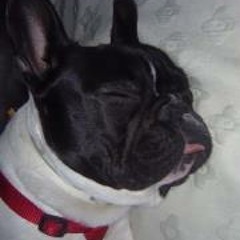 Jacobo Heras Delgado