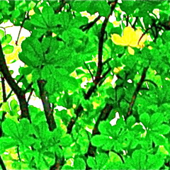 House of Fallen Trees