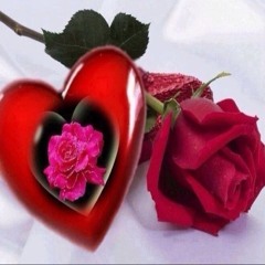 شيماء الهلالي امتى نسيتك