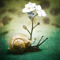 sureflower