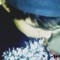 Dj.Thunder