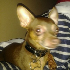 ITS ROCK LITCHES!!! ;-P