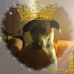 Manuel Knobloch-Stahl