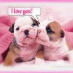 Angelina Ling Hock Ping