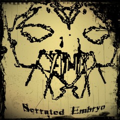 Serrated Embryo