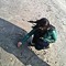 Marwa Harraz
