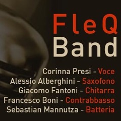 FleQ-Band