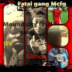 M.C.F.G.(DV&LILRICO)