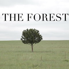 THEFOREST