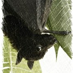 Sharon Isabel Peterson