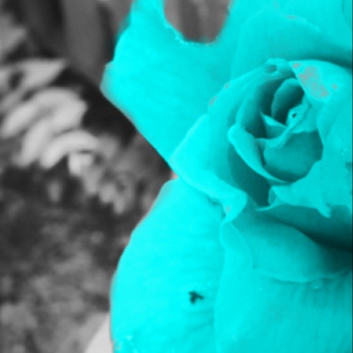 Enchanted by Taylor Swift (My Cover)