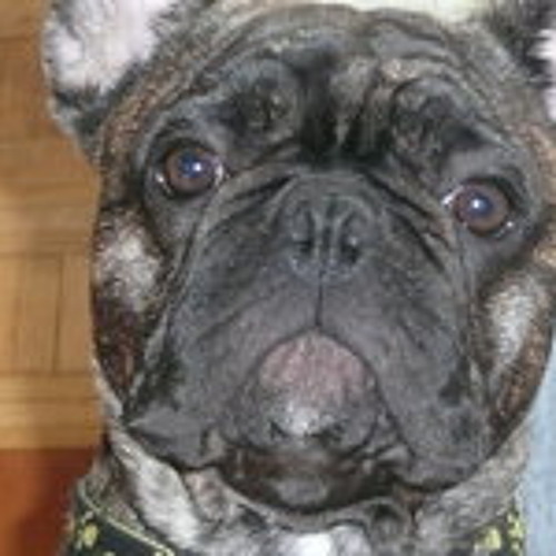 Yoshi Bouledogue’s avatar