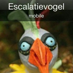 Escalatievogel