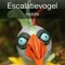 Escalatievogel