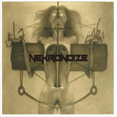 NEKRONOIZE