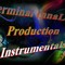 INNALIFE INSTRUMENTALS