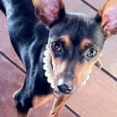 Elisabetta Sacchini 1