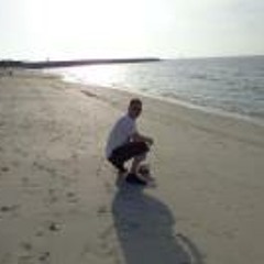 Jeroen van den Bosch 2