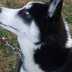 Vicky Callaway Palmer