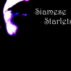 SiameseStarlets