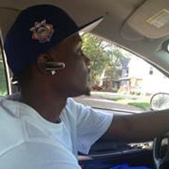 Lavelle Turtle Hadley