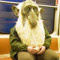 Subway Troll