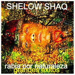 Shelow Shaq