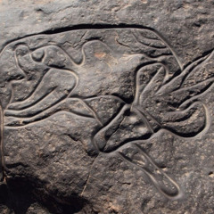 fsadaq1