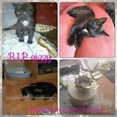 Sophie Jeanne Williams