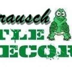 Turtle-Records