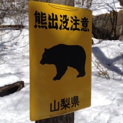 Shigehito Kasai