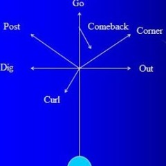 Bill Carroll 5