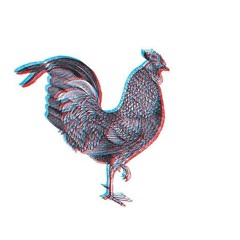 raiivenz
