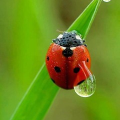 Kimberly Denise Marshall-Mullins