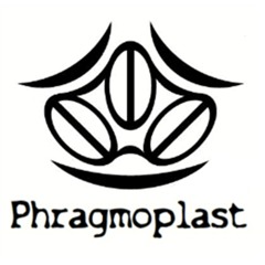 Phragmoplast