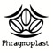 Phragmoplast