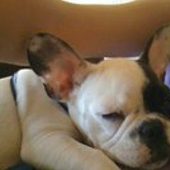 Alejandro Picazo Ruiz