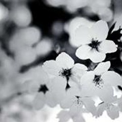 Christina Milenkovic