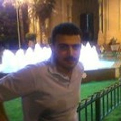 Ahmed Elsayed Othman